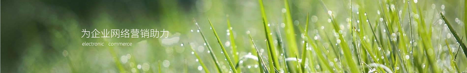 ӱܴ󻷾Ƽ޹˾